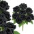 product_4217_6abed70ebd0a6.jpg