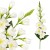 product_4218_6abed71195d77.jpg