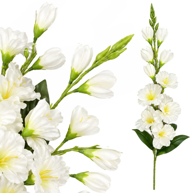 product_4218_6abed71195d77.jpg