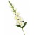 product_4218_6abed7123db92.jpg