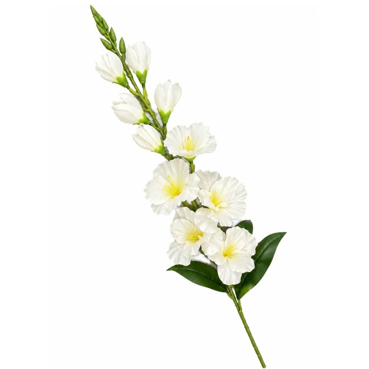 product_4218_6abed7123db92.jpg