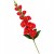 product_4219_6abed714f3ba7.jpg