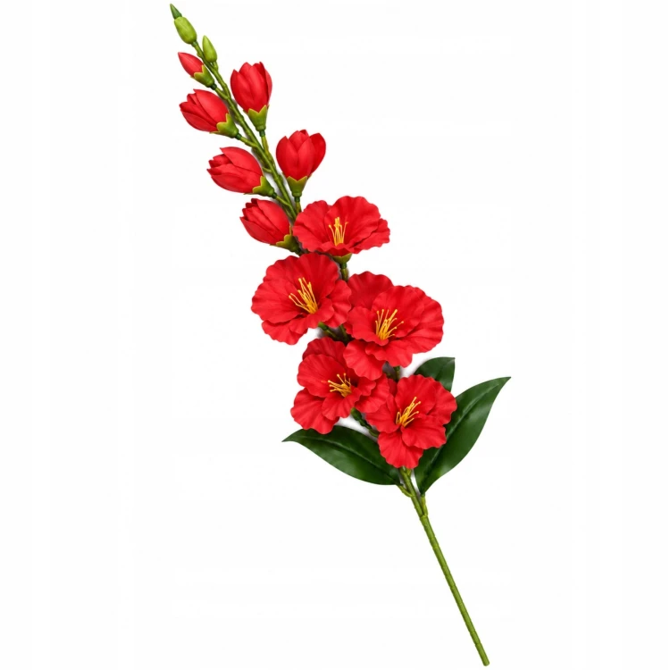 product_4219_6abed714f3ba7.jpg