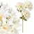 product_4220_6abed7476da14.jpg
