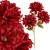 product_4221_6abed74a713d0.jpg