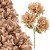 product_4222_6abed74d85321.jpg