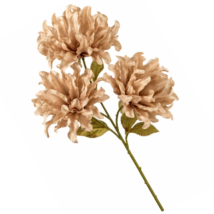 product_4222_6abed74e6f874.jpg
