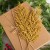 product_4223_6abed752652e3.jpg