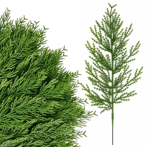 product_4224_6abed75416e64.jpg