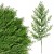 product_4224_6abed75416e64.jpg