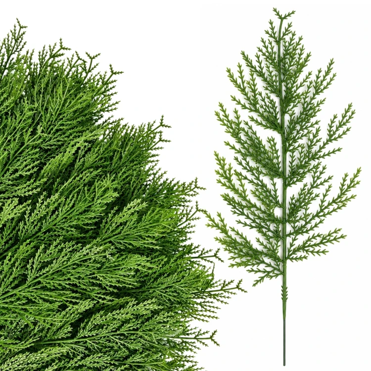 product_4224_6abed75416e64.jpg