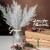 product_4225_6abed75b63302.jpg
