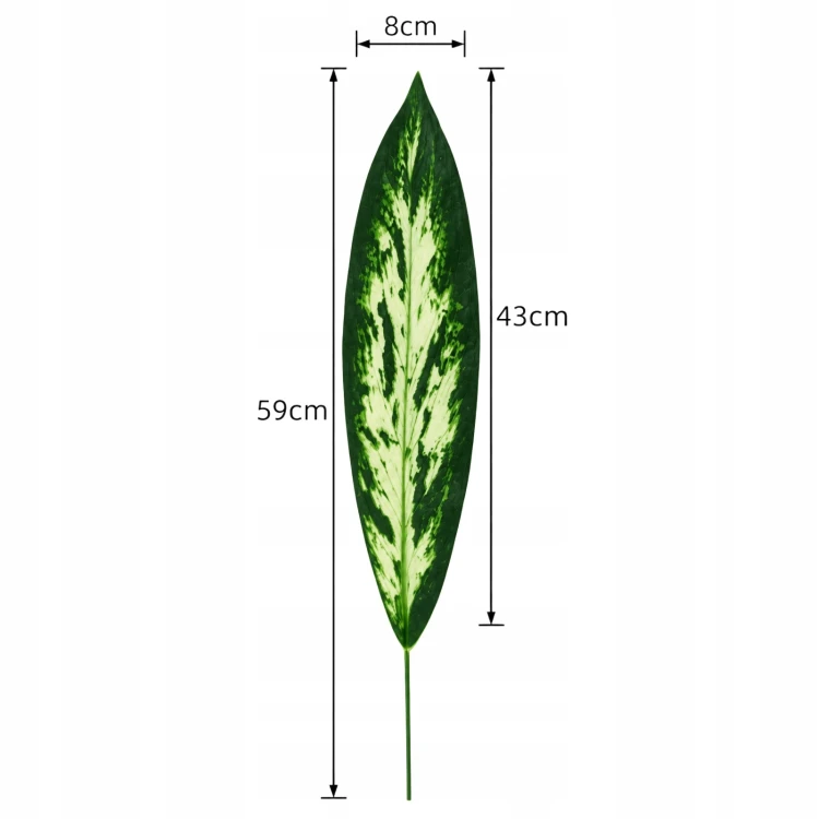 product_4227_6abed7bf6e8e7.jpg