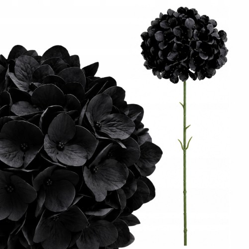 product_4228_6abed7c169b6e.jpg