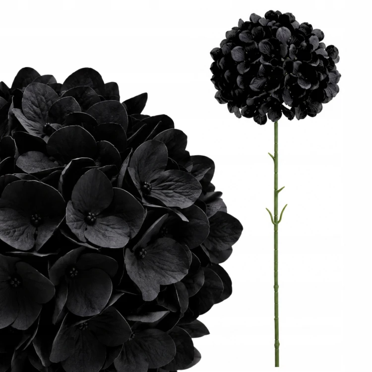 product_4228_6abed7c169b6e.jpg