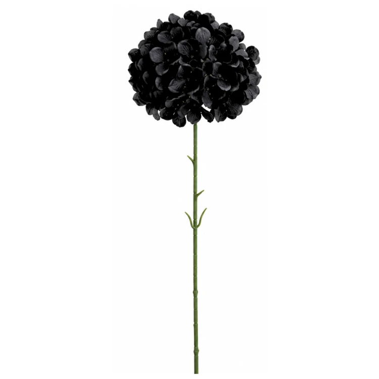 product_4228_6abed7c222187.jpg