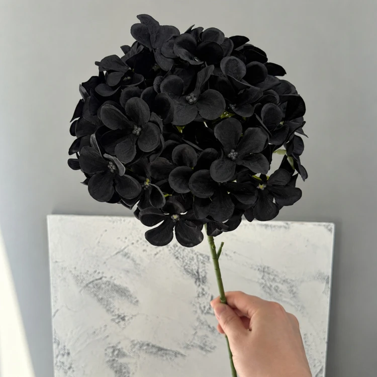 product_4228_6abed7c2d82b6.jpg