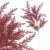 product_4229_6abed7c41cab0.jpg
