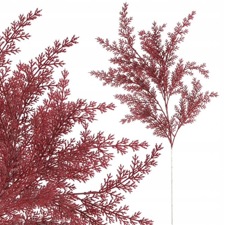 product_4229_6abed7c41cab0.jpg