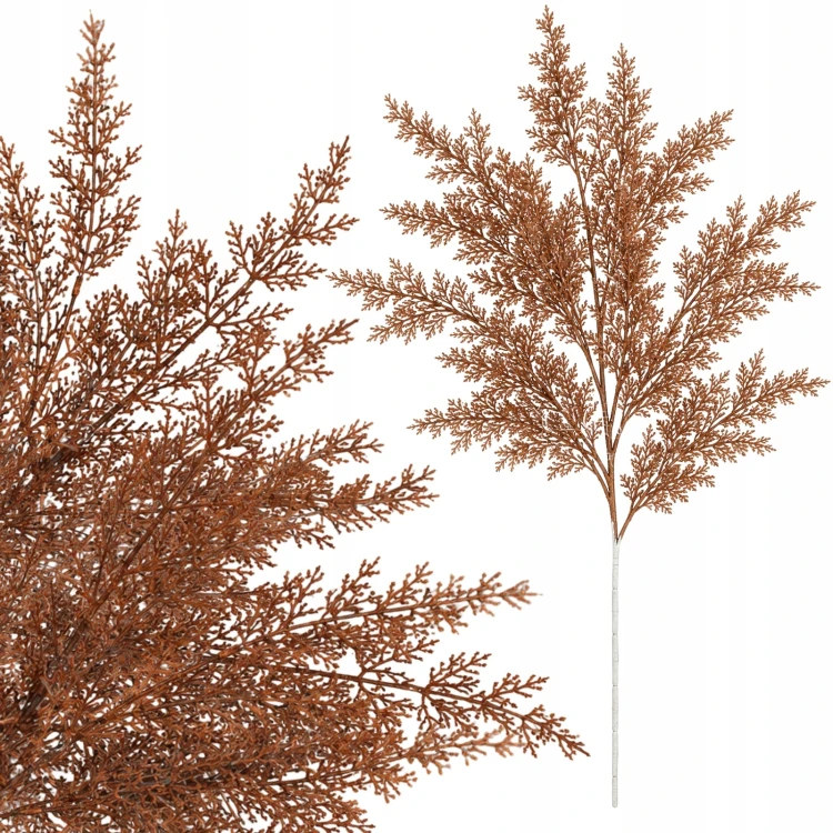 product_4230_6abed7c6e58eb.jpg