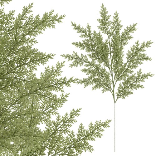 product_4231_6abed7ca05968.jpg
