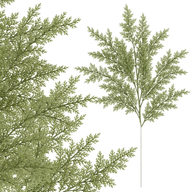 product_4231_6abed7ca05968.jpg