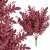 product_4232_6abed815e8bbc.jpg