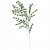 product_4234_6abed81c98d2d.jpg