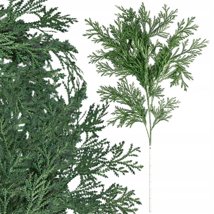 product_4235_6abed81e03ddb.jpg