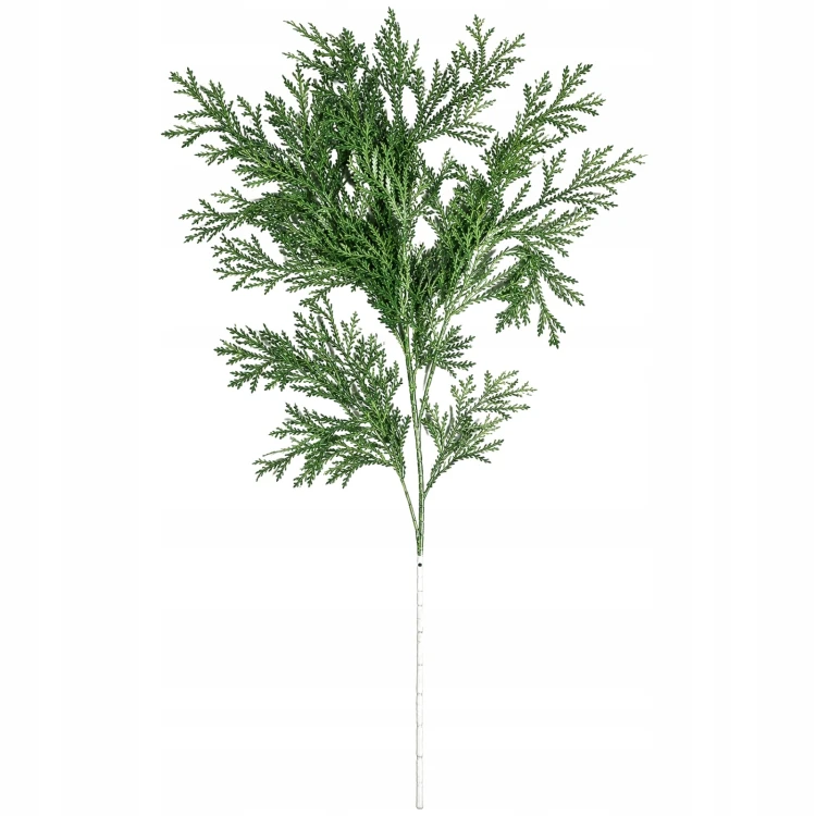 product_4235_6abed81ee2fb7.jpg