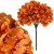 product_4236_6abed85f4ba29.jpg