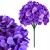 product_4237_6abed8628fe12.jpg
