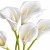 product_4239_6abed869284d7.jpg