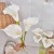 product_4239_6abed86a07fab.jpg