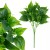 product_4240_6abed86b3ef91.jpg