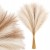 product_4241_6abed891330c8.jpg