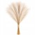 product_4241_6abed8921e40f.jpg