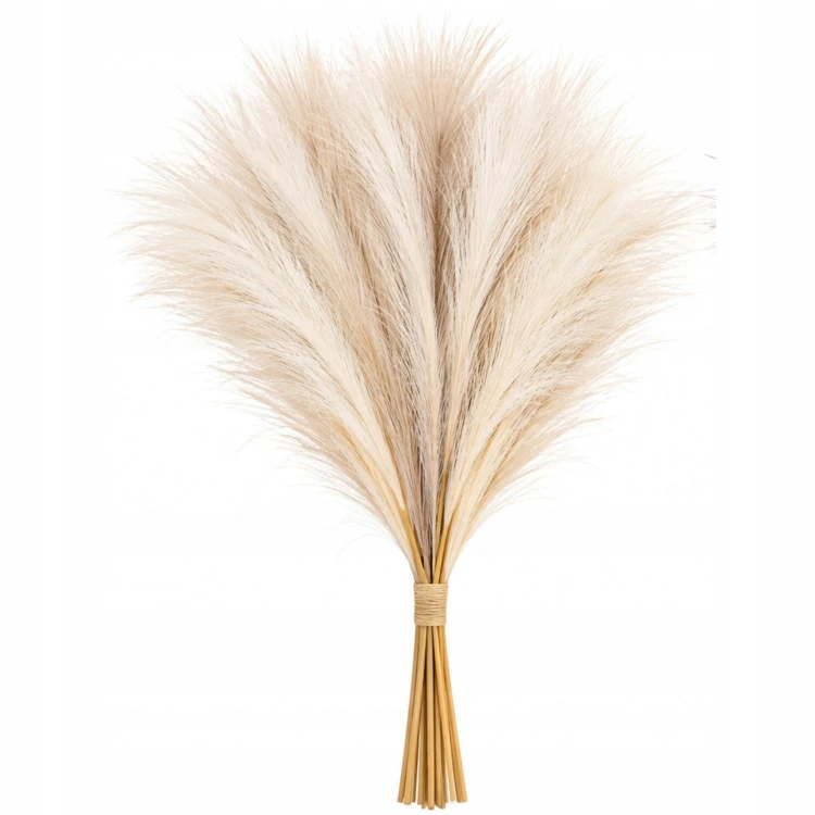 product_4241_6abed8921e40f.jpg