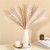 product_4241_6abed8930ac8a.jpg