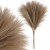 product_4242_6abed8948b47f.jpg