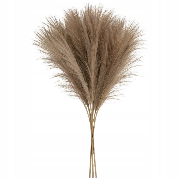product_4242_6abed895620dc.jpg