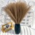 product_4242_6abed8964e596.jpg