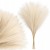 product_4243_6abed897af14e.jpg