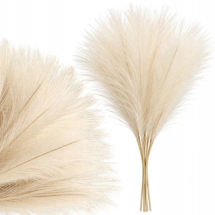 product_4243_6abed897af14e.jpg