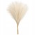 product_4243_6abed898b1840.jpg