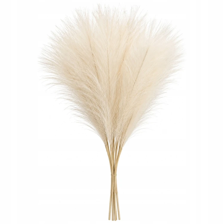 product_4243_6abed898b1840.jpg