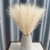 product_4243_6abed899bd649.jpg