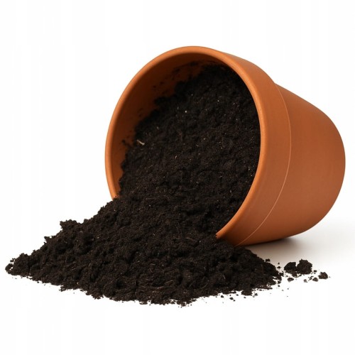 0b89e13414372039ee8e9947d9b15315