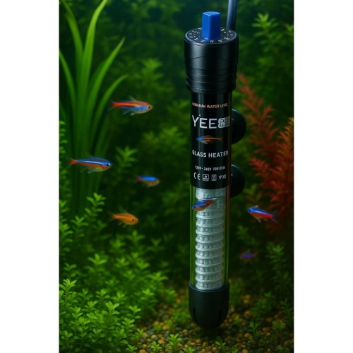 f53ea9472e82f436bb292c0b2abb9652