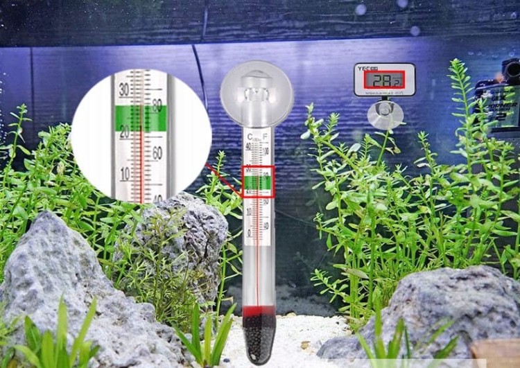 0419e96cca49cfb0fec1da555e63613d